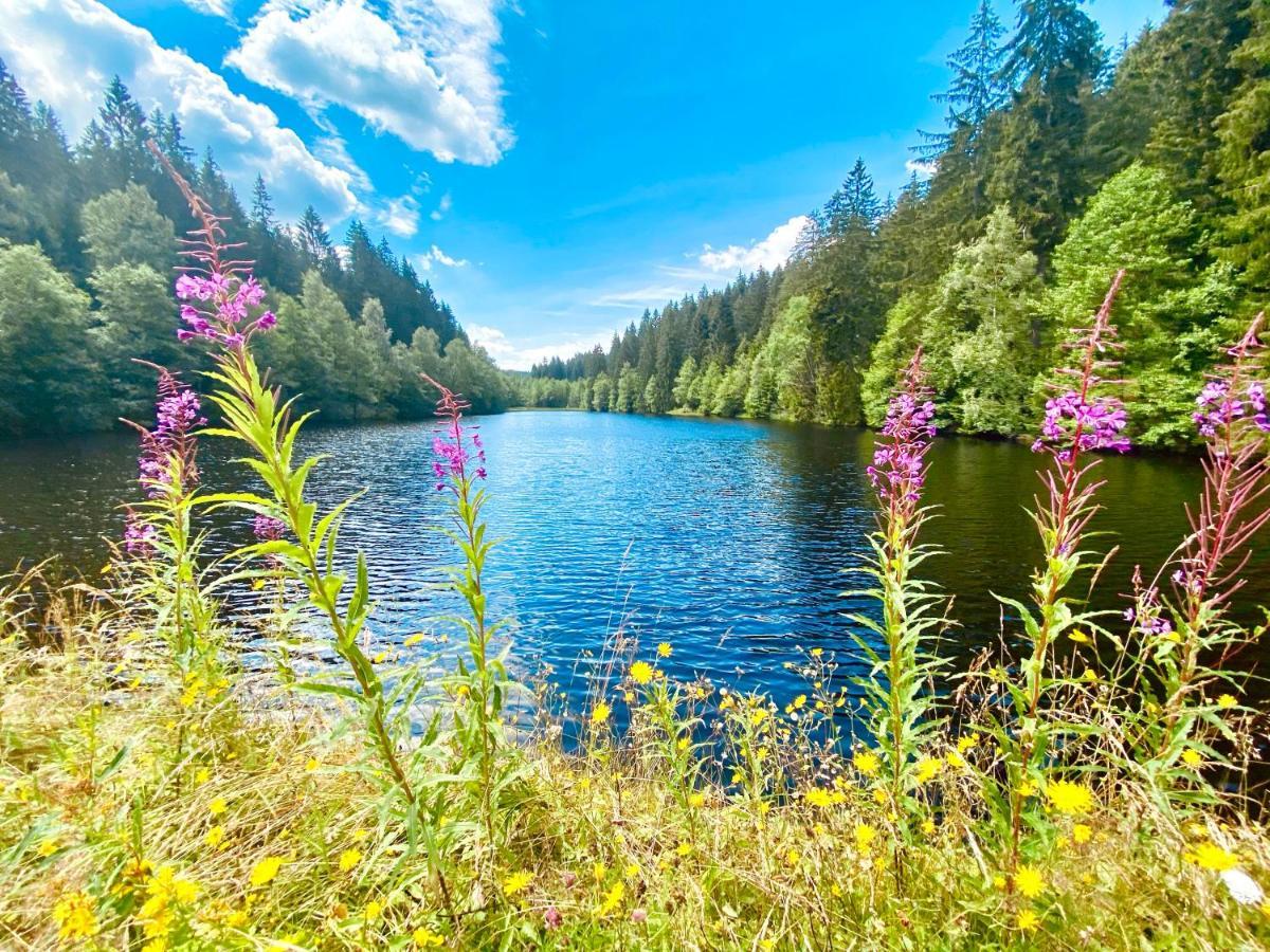 B&B Am Oker, Altenau, Harz Altenau  Luaran gambar