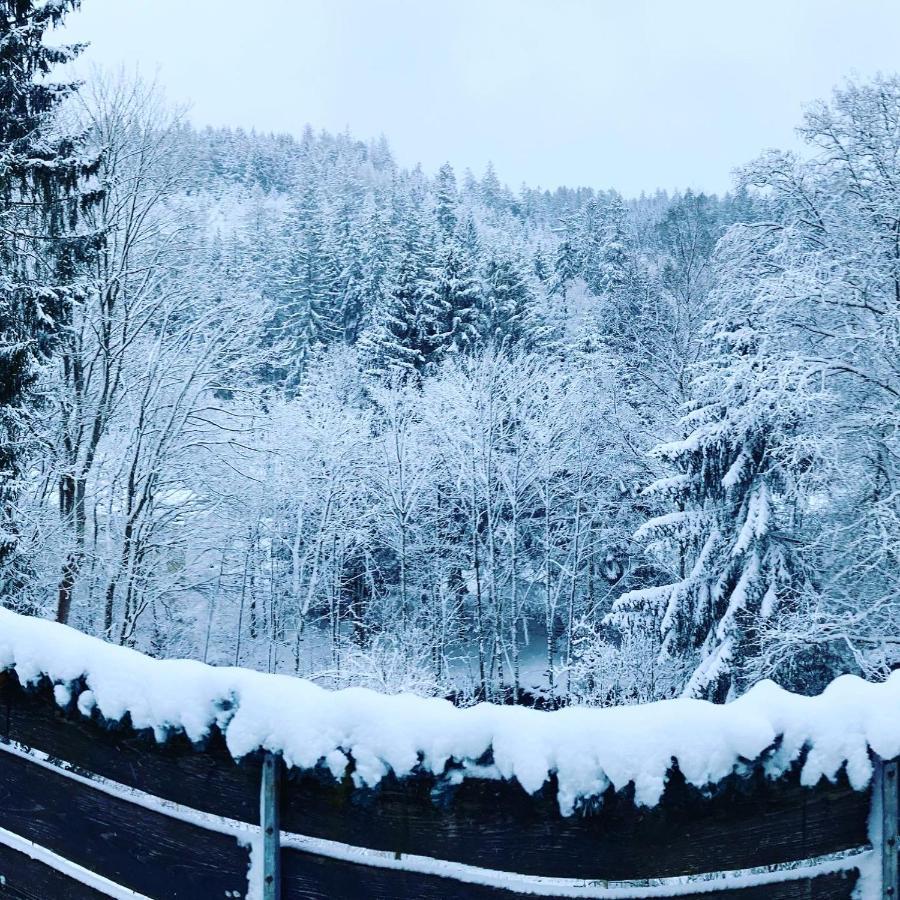 B&B Am Oker, Altenau, Harz Altenau  Luaran gambar