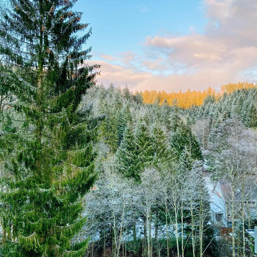 B&B Am Oker, Altenau, Harz Altenau  Luaran gambar